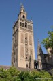 /album/fotogaleria/sevilla-giralda-14-jpg1/